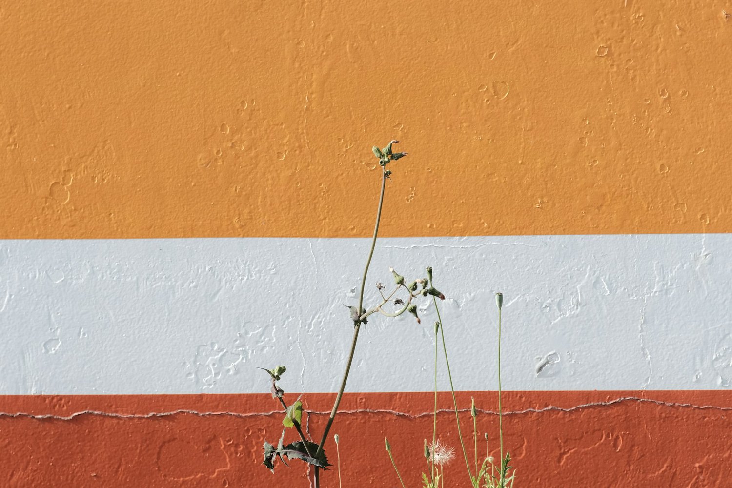 5 Proven Law Firm Growth Strategies for 2025